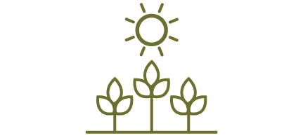 ORGANICALLY GROWN icon with three plants growing toward the sun
