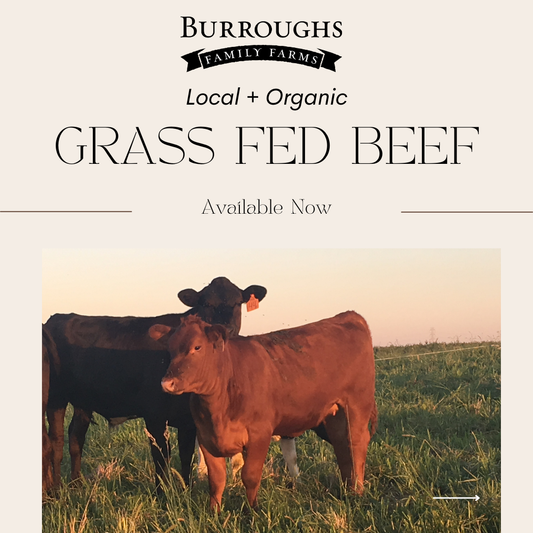 Grass Fed & Finished Organic Bulk Beef