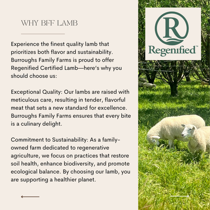 Why BFF Lamb information graphic with the Regenified certification mark and lambs on pasture