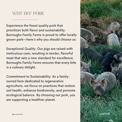 Why BFF Pork information graphic with pigs on pasture
