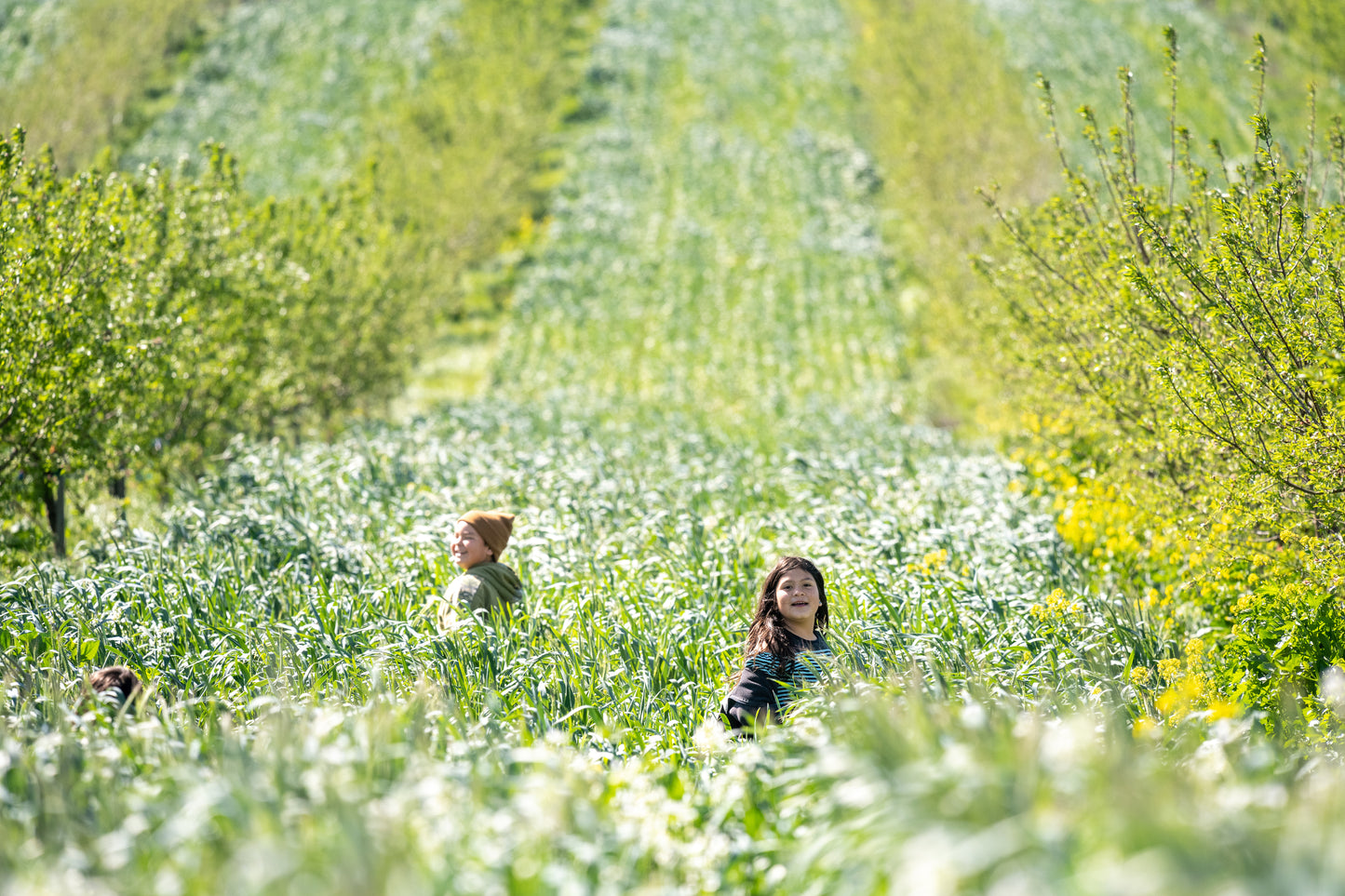 Regenerative Organic Natural Sliced Almonds 2# bag