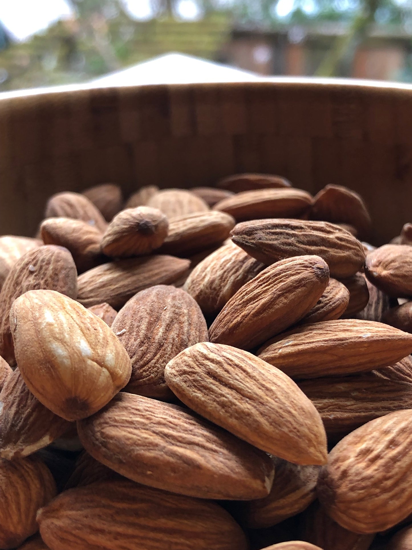 Truly Raw Regenerative Organic Almonds