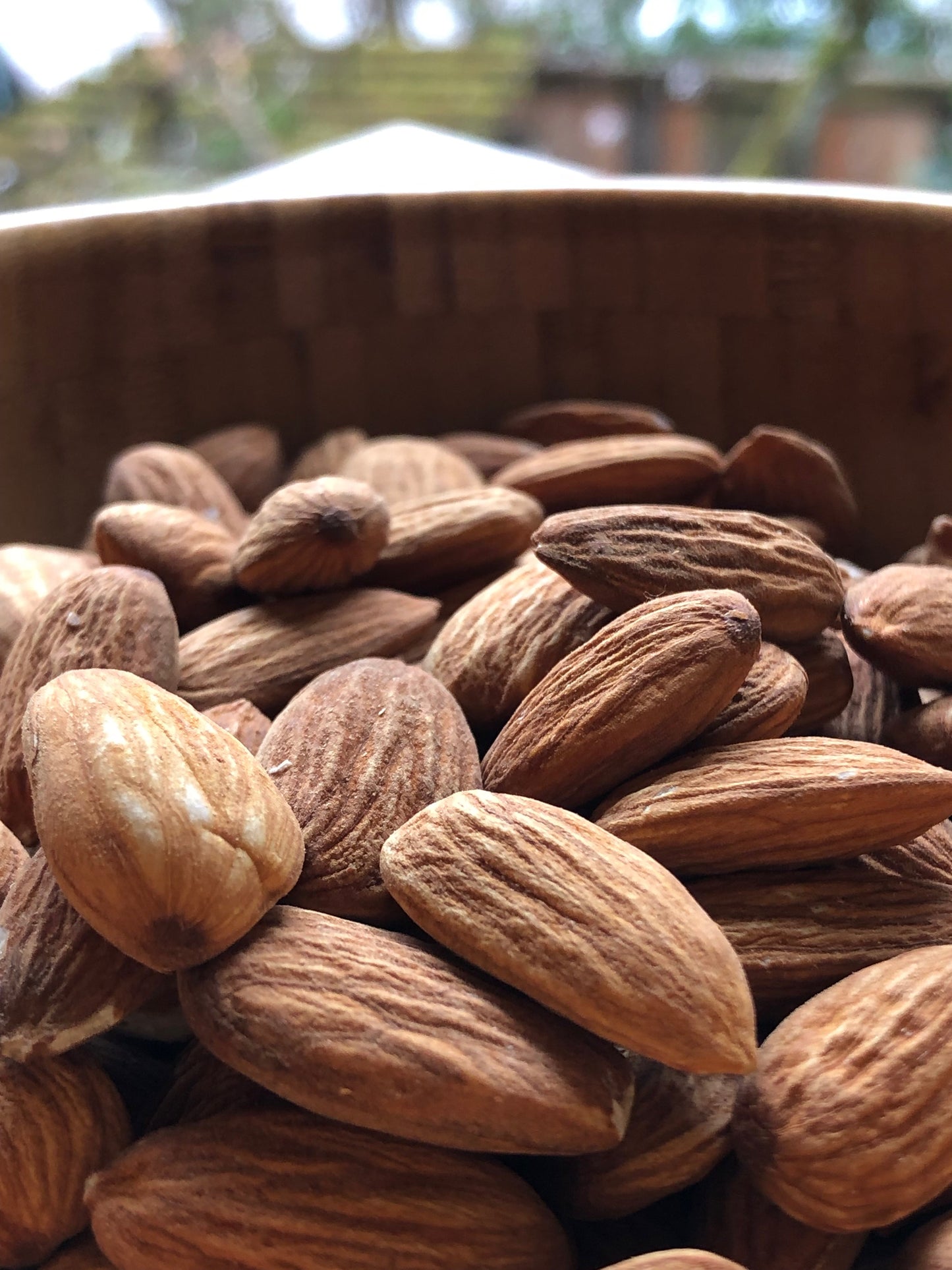 Truly Raw Regenerative Organic Almonds – Burroughs Family Farms