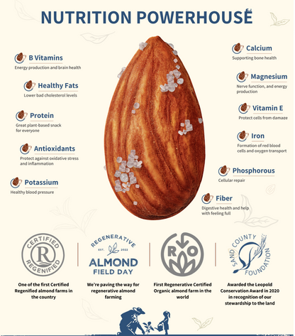 Infographic listing nutrients in almonds, including B vitamins, healthy fats, protein, antioxidants, potassium, calcium, magnesium, vitamin E, iron, phosphorus and fibre